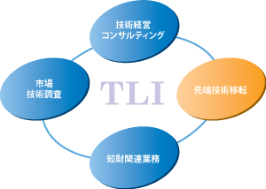 TLI業務内容